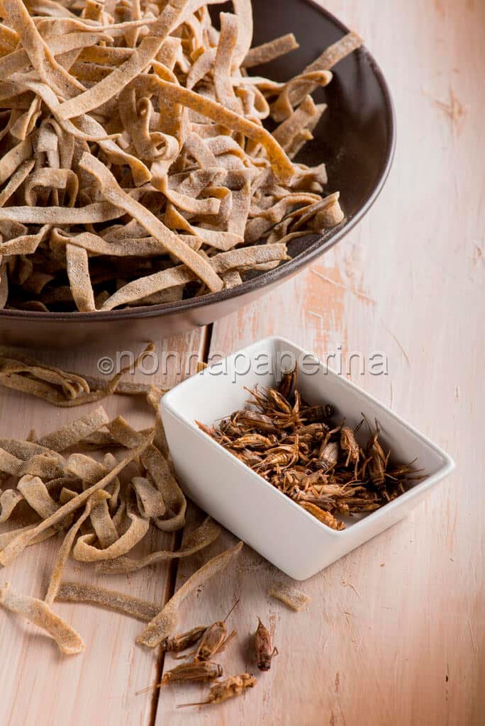 tagliatelle con farina di grillo tagliatelle con farina di grillo