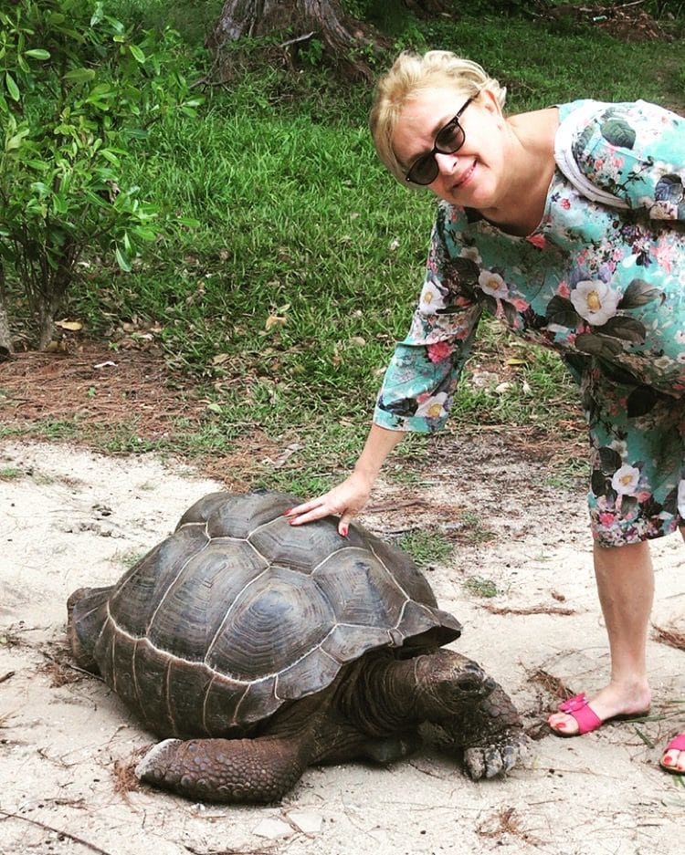 tartaruga di terra alle Seychelles tartaruga di terra