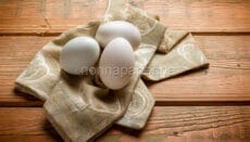 uova di gallina livornese