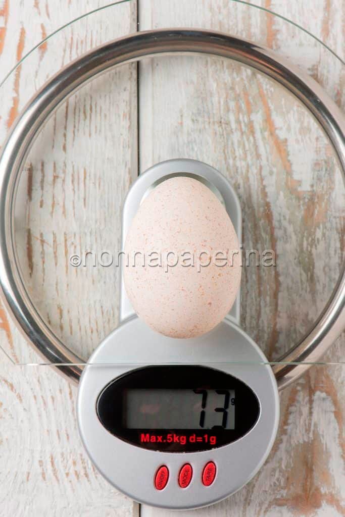 uova di tacchino uova di tacchino