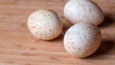 Poco usate, ma molto speciali: le uova di tacchino!