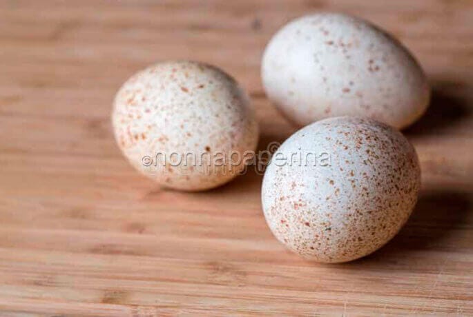 Poco usate, ma molto speciali: le uova di tacchino! Poco usate, ma molto speciali: le uova di tacchino!