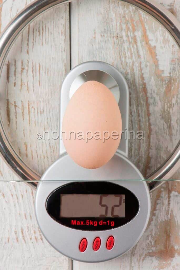 Uova di gallina Wyandotte Uova di gallina Wyandotte