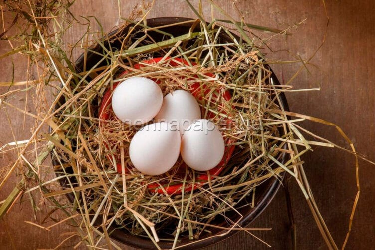 Conoscete le uova di colino? Parliamone! uova di colino