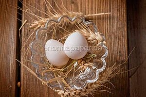 uovo di colombo