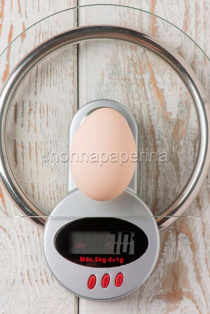 uova di gallina Australorp uova di gallina Australorp