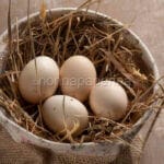 The goodness of Mericanel della Brianza eggs The goodness of Mericanel della Brianza eggs