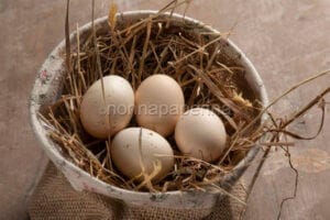 La bontà delle uova di Mericanel della Brianza