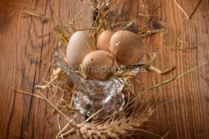 Uova di pernice rossa