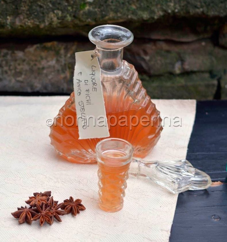 LIQUORE DI FICHI E ANICE STELLATO – rosolio di fichi LIQUORE DI FICHI E ANICE STELLATO – rosolio di fichi