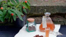 Liquore di fichi e anice stellato: perfetto per le feste Liquore di fichi e anice stellato: perfetto per le feste