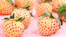 Fragole ananas