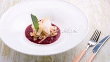 Caserecce di fagioli in crema di barbabietola