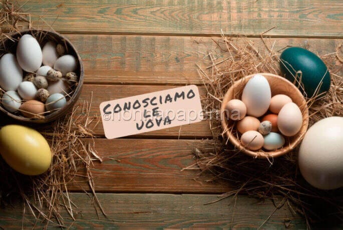 tutto sulle uova