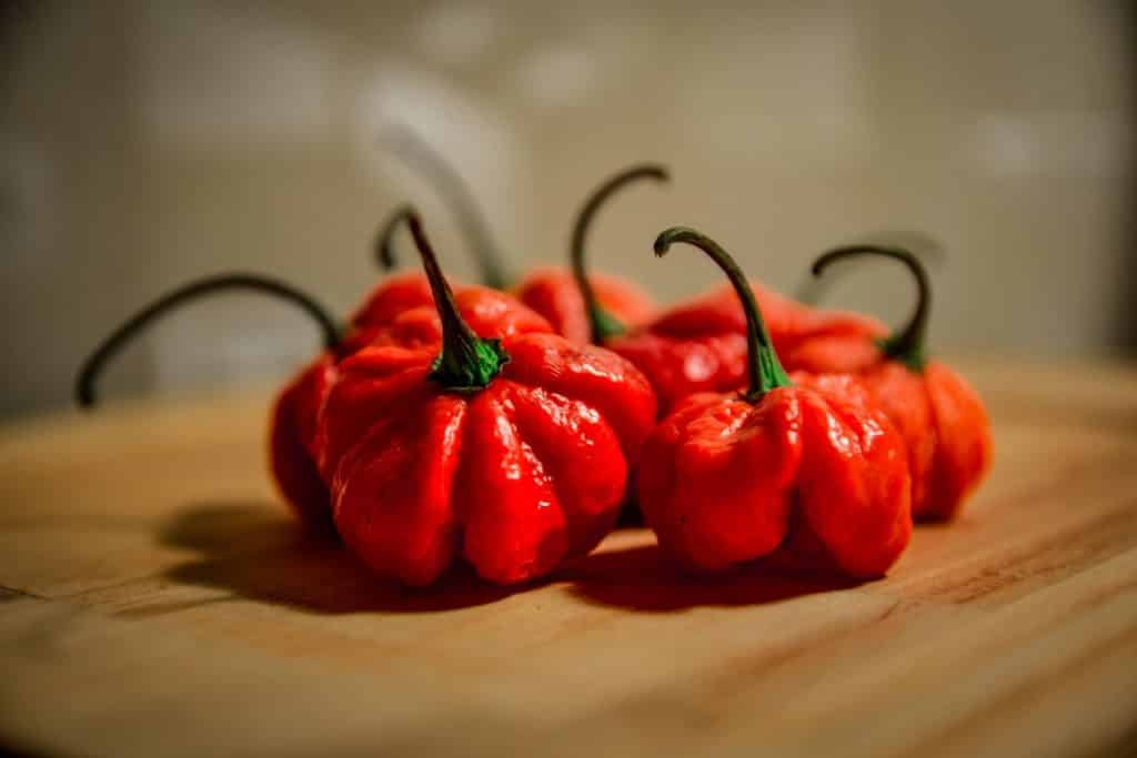Carolina Reaper Carolina Reaper