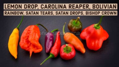 peperoncino piu piccante