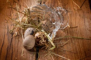 Uova di coturnice : per chi soffre di allergie