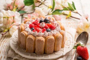 charlotte con crema al mascarpone