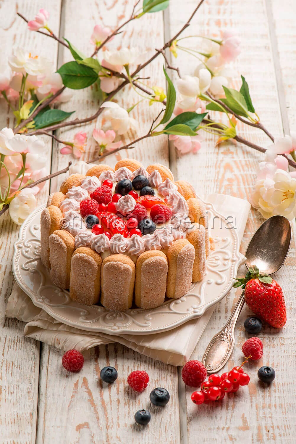 charlotte con crema al mascarpone