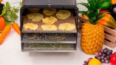 essiccare frutta e verdura