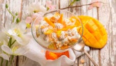 Tiramisù al mango: una vera bontà da scoprire!