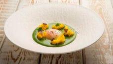 Uovo con spuma di spinaci, l’arte a tavola Uovo con spuma di spinaci, l’arte a tavola