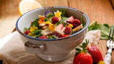 Insalata di pollo con spinacini, fragole e lamponi Insalata di pollo con spinacini, fragole e lamponi