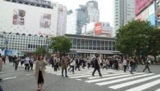 La mia esperienza in Giappone tra sushi e cerimonie