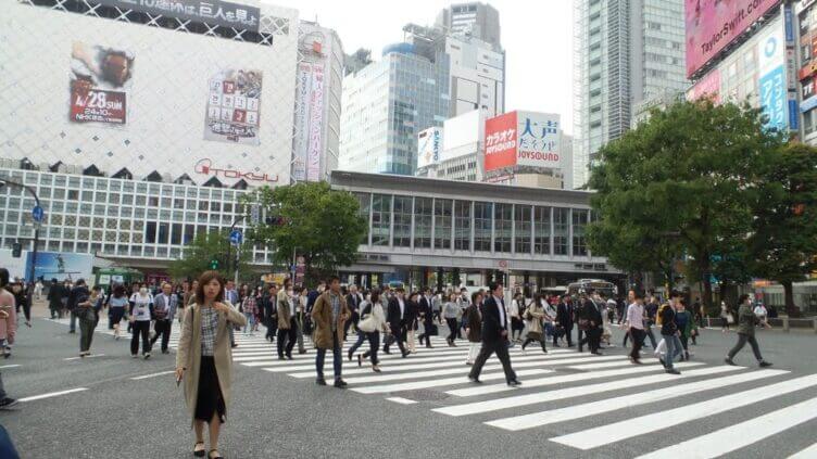 La mia esperienza in Giappone tra sushi e cerimonie Japan Gourmet