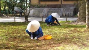 Giardino di Kenrokuen