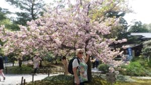 Giardino di Kenrokuen