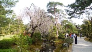 Giardino di Kenrokuen