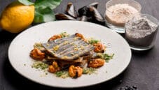 Lasagnetta con crema di cozze: piatto per ogni occasione