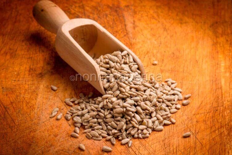 A tavola con i nutrienti semi di girasole! semi di girasole