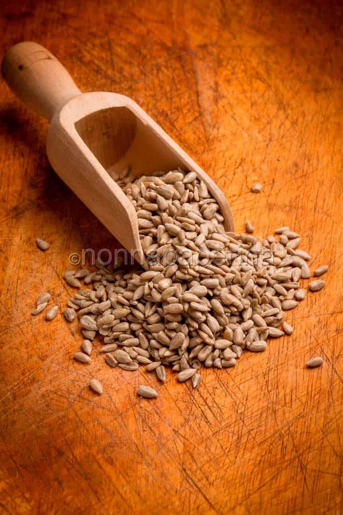 semi di girasole semi di girasole