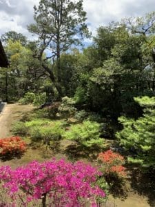 meditazione Zen e pranzo zen