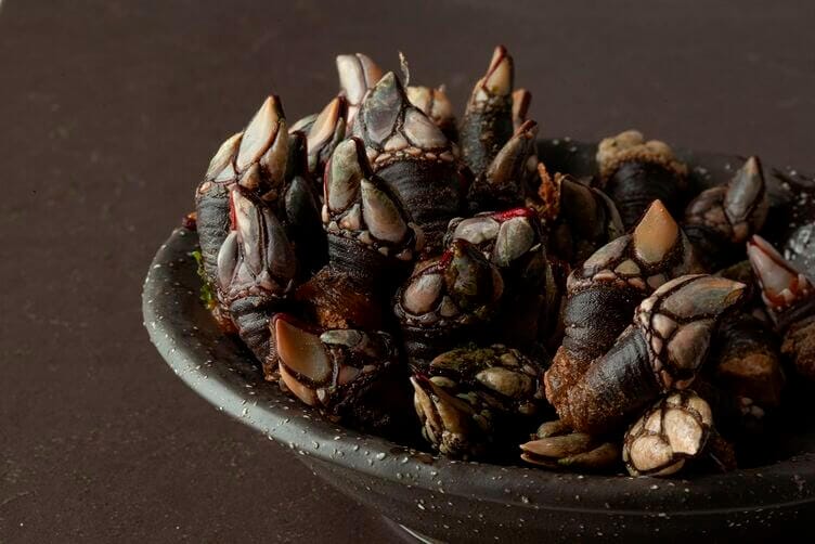 percebes crudi