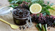 Confettura alle bacche di sambuco e limone Confettura alle bacche di sambuco e limone