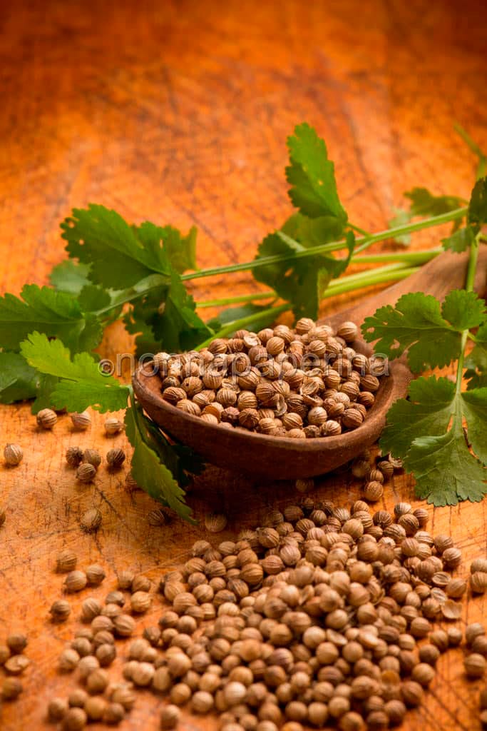 Coriandolo Coriandolo