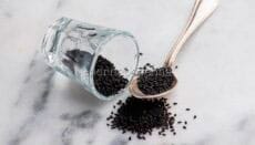 Nigella