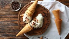 Il latte degli insetti senza glutine e senza lattosio