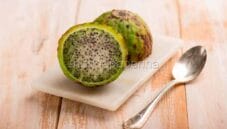 Il sanky, un frutto dalla storia millenaria Il sanky, un frutto dalla storia millenaria