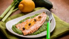 Filetti di trota salmonata con salsa di cetriolo e sedano