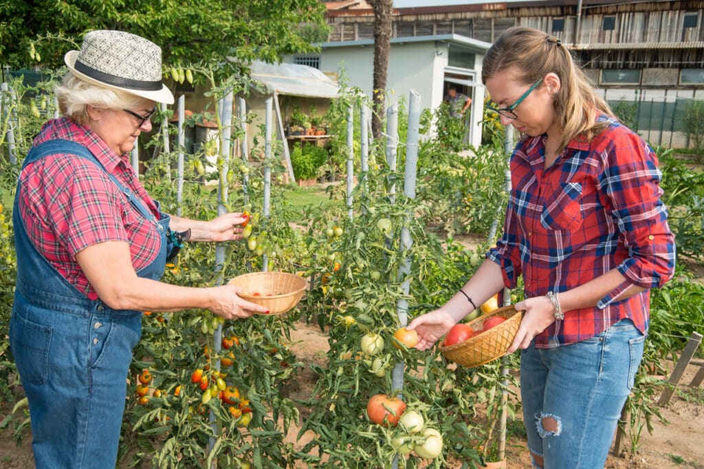 Allergie a insetticidi sintetici