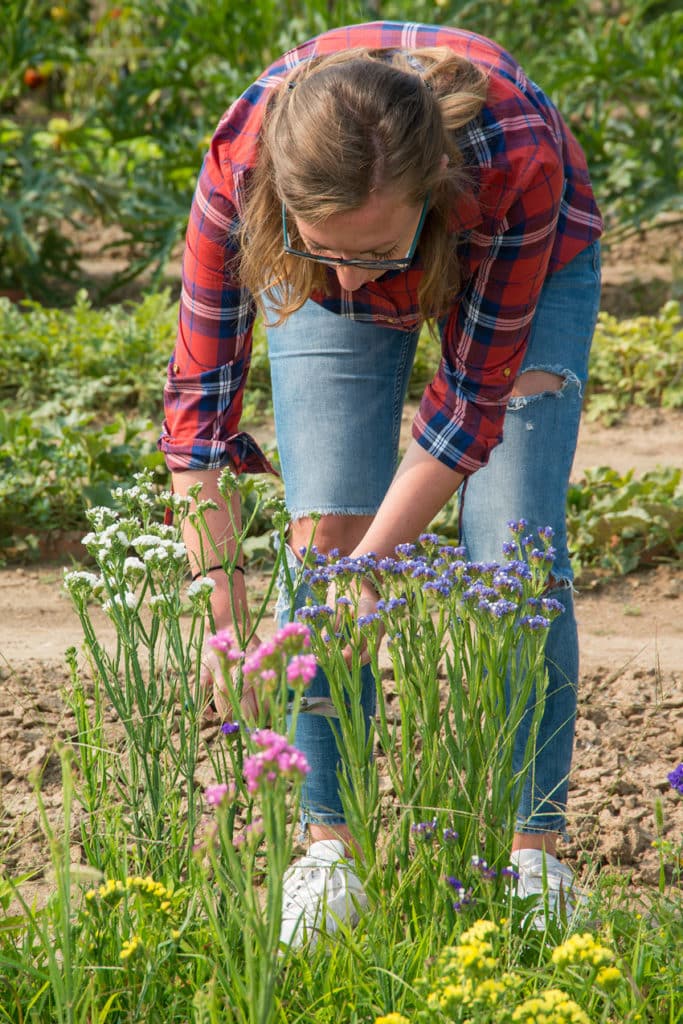 Fertilizzanti e prodotti per giardinaggio