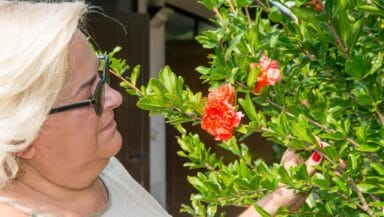 Fertilizzanti e prodotti per giardinaggio