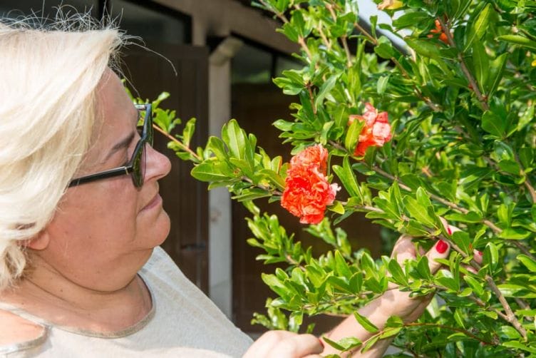 Fertilizzanti, i rischi per gli intolleranti al nichel Fertilizzanti e prodotti per giardinaggio