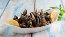 Percebes al naturale, dei crostacei rari e deliziosi