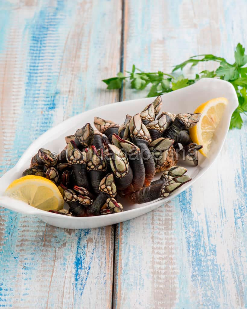 Percebes al naturale Percebes