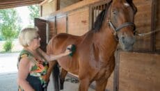 Equitazione